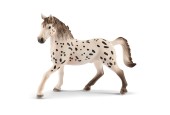 schleich HORSE CLUB Knabstrupper Hengst 13889