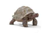 schleich WILD LIFE Reuzenschildpad 14824