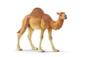 schleich WILD LIFE Dromedaris 14832