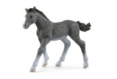 schleich HORSE CLUB Trakehner Veulen 13944
