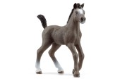 schleich HORSE CLUB Selle Francais Veulen 13957