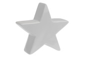 Decoratie Ster Wit