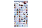 Stickervel Disney Frozen 2