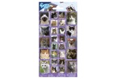 Stickervel Katten