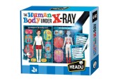 Headu The Human Body Under the X-Ray Puzzel Spel (EN)