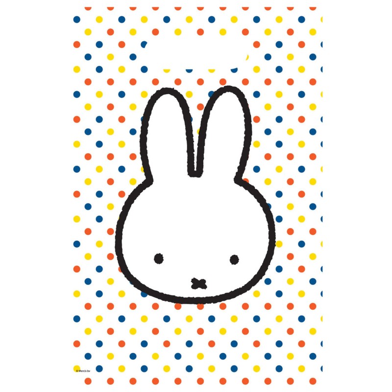 Nijntje Uitdeelzakjes, 6st.