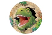 Dino Bordjes, 8st.