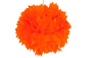 Oranje Pompom