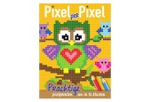 Pixel Kleurboek Uiltjes