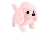 Take Me Home Loophond Poedel