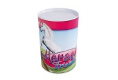 Horse Friends Spaarpot