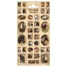 Stickervel Paarden