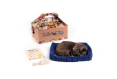 Perfect Petzzz Soft Chocolate Labrador
