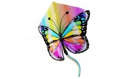 Kites Ready 2 Fly - Pop-up Nylon Vlieger Vlinder