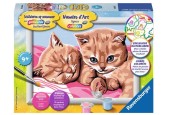 Ravensburger Peinture par numéros Cuddle Friends