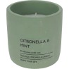 Citronella kaars in pot 10cm groen