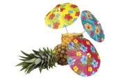 IJsparasols Hawaii Zak A 6 Stuks
