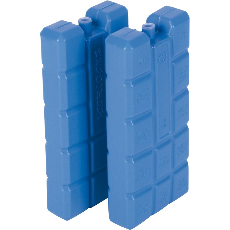 Éléments de refroidissement 200 grammes lot de 2 pièces