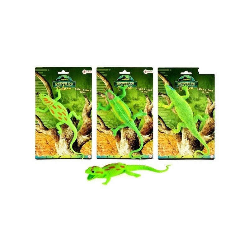 Reptiel Levensecht Op Kaart