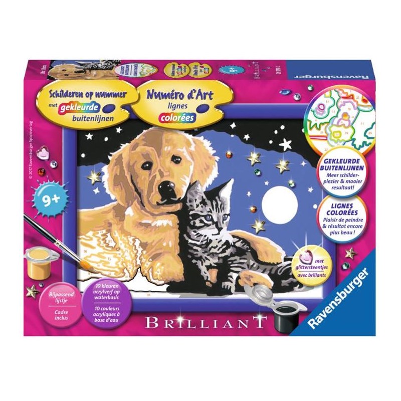 Ravensburger Peinture par numéros Beau ciel étoilé