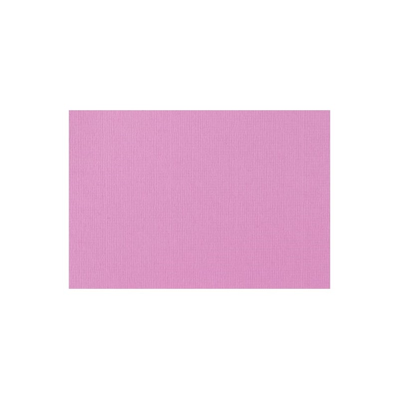 Carton photo 50x70 cm 270 gr 10 feuilles Lilas