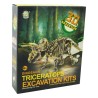 Découpez votre propre squelette de dinosaure en plâtre Triceratops 23cm
