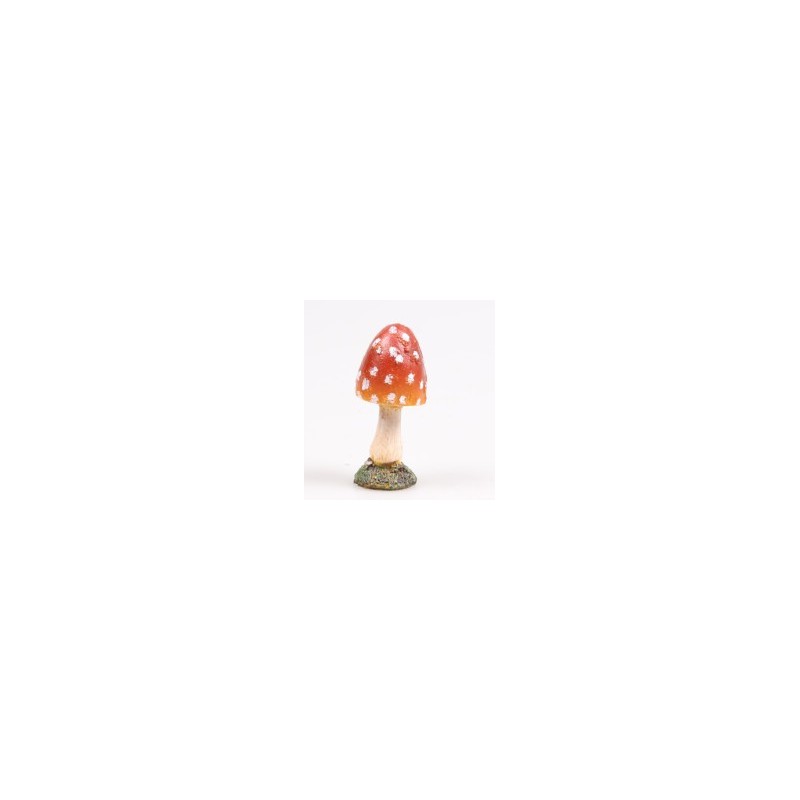 Paddestoelen