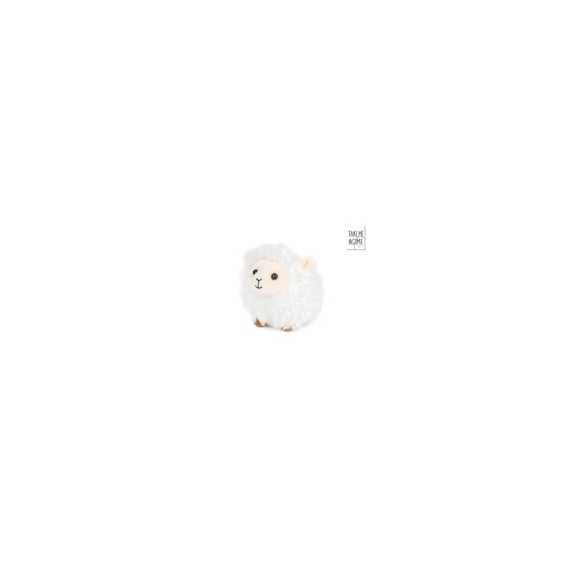 Schapen